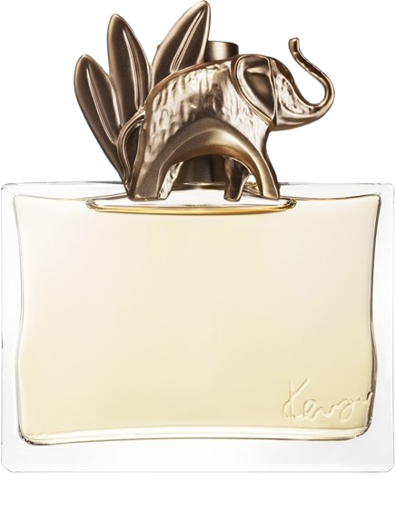 عطر زنانه کنزو جانگل Kenzo Jungle for women
