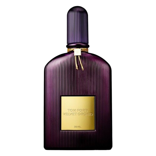عطر زنانه تام فورد مدل Velvet Orchid حجم ۱۰۰ میلی لیتر